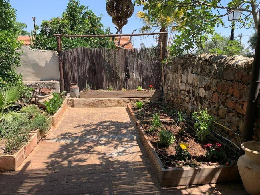 בית האבן העתיק מ-1885 עם מגונית פרטית בחצר Rosch Pina Exterior foto